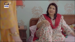 Aapa Shameem - Episode 22 - 28th December 2024